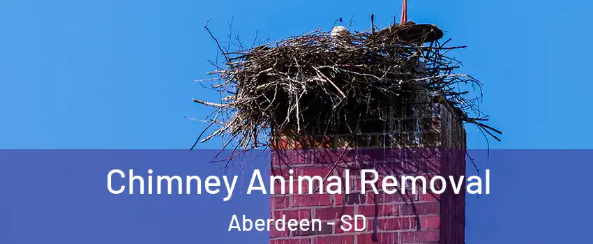 Chimney Animal Removal Aberdeen - SD