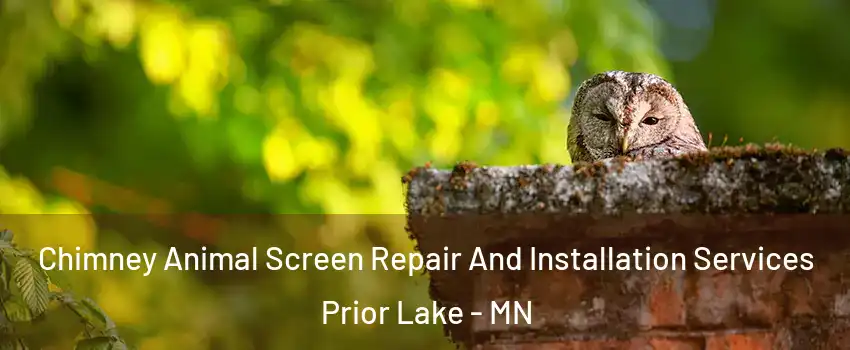  Chimney Animal Screen Repair And Installation Services Prior Lake - MN