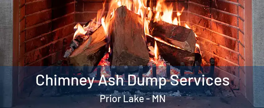  Chimney Ash Dump Services Prior Lake - MN