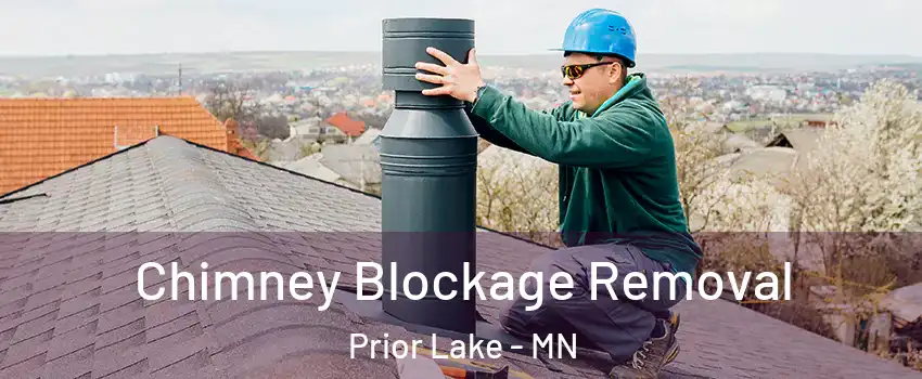 Chimney Blockage Removal Prior Lake - MN