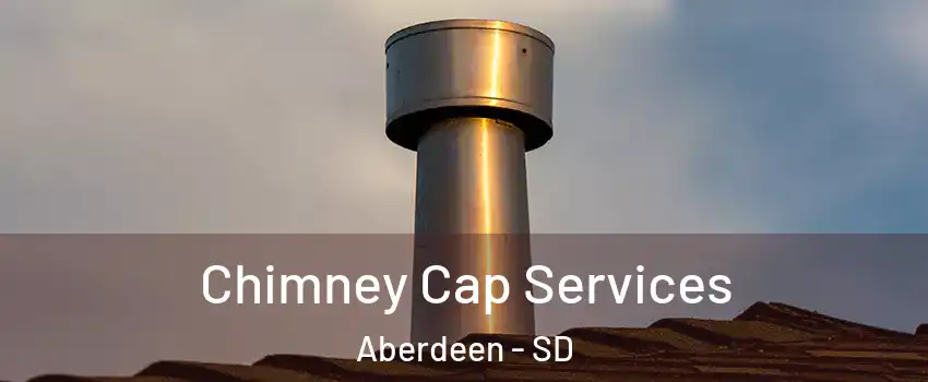  Chimney Cap Services Aberdeen - SD