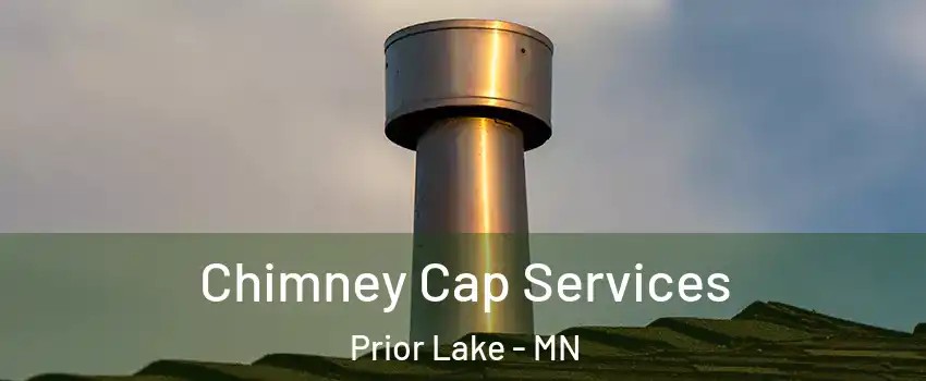  Chimney Cap Services Prior Lake - MN