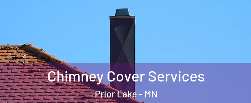  Chimney Cover Services Prior Lake - MN