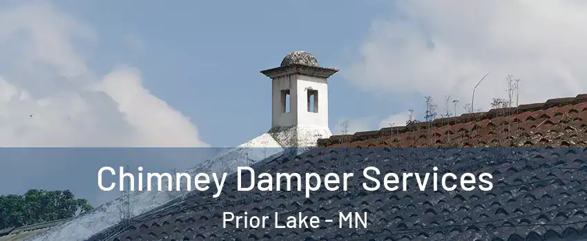  Chimney Damper Services Prior Lake - MN