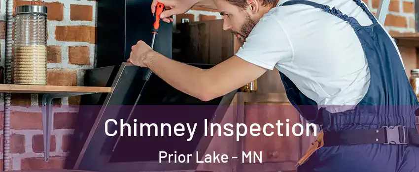  Chimney Inspection Prior Lake - MN