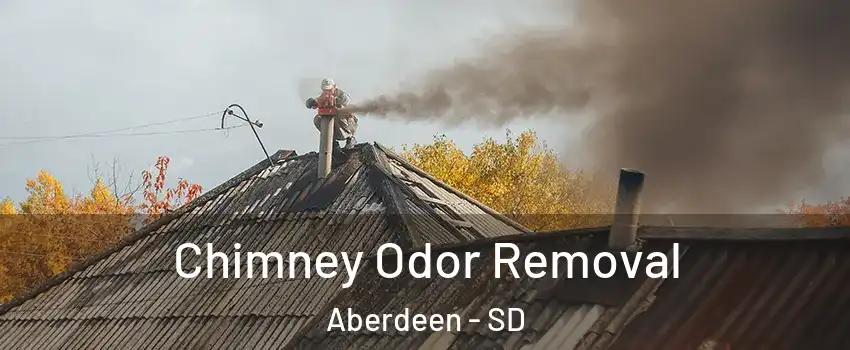  Chimney Odor Removal Aberdeen - SD