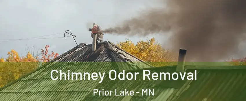  Chimney Odor Removal Prior Lake - MN