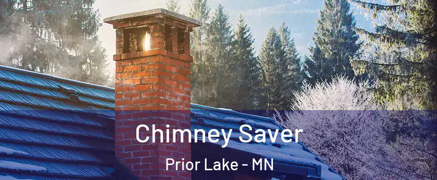  Chimney Saver Prior Lake - MN