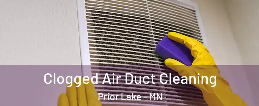  Clogged Air Duct Cleaning Prior Lake - MN