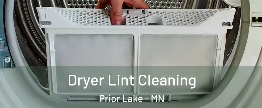  Dryer Lint Cleaning Prior Lake - MN
