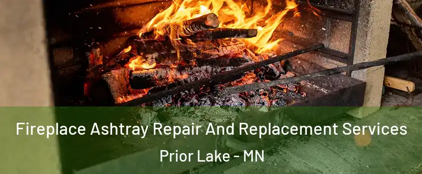  Fireplace Ashtray Repair And Replacement Services Prior Lake - MN