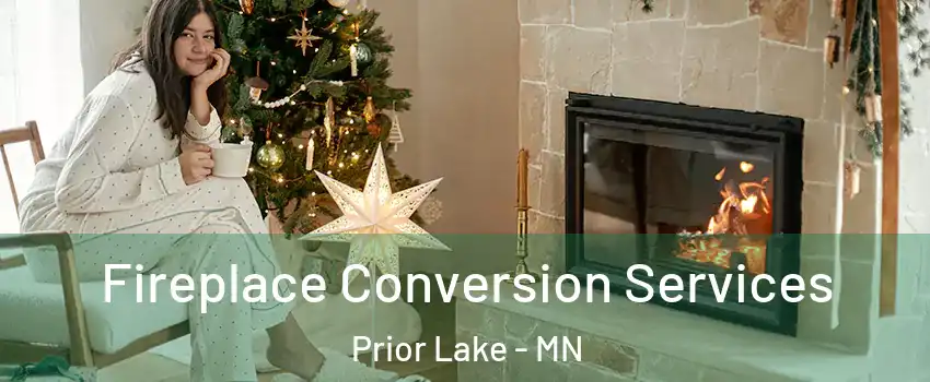  Fireplace Conversion Services Prior Lake - MN