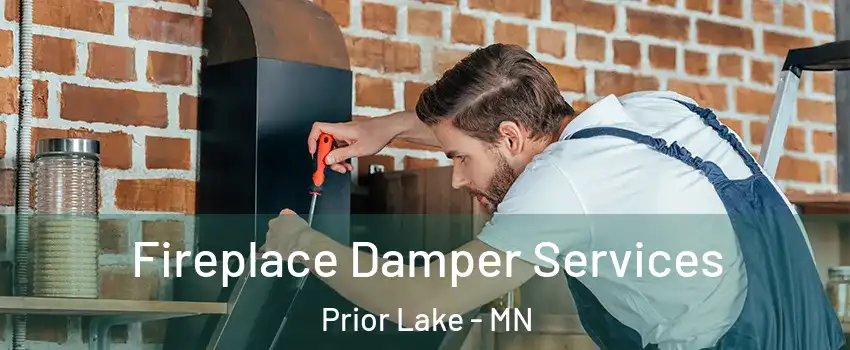  Fireplace Damper Services Prior Lake - MN