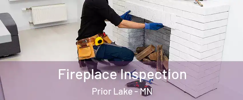  Fireplace Inspection Prior Lake - MN