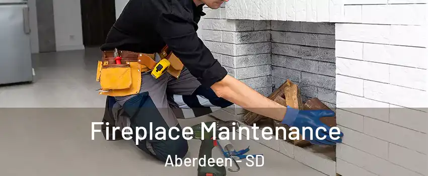  Fireplace Maintenance Aberdeen - SD