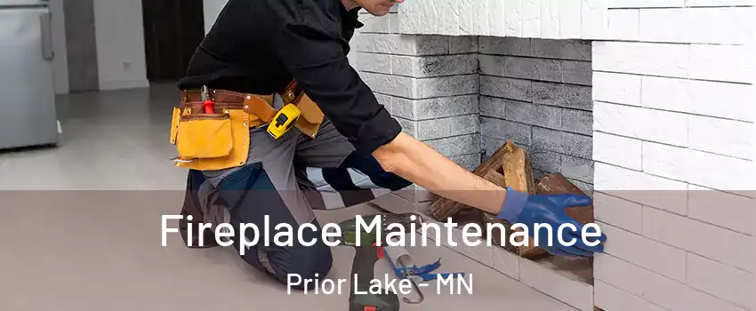  Fireplace Maintenance Prior Lake - MN