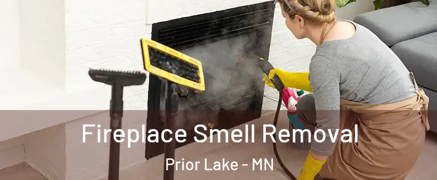  Fireplace Smell Removal Prior Lake - MN