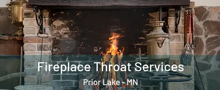  Fireplace Throat Services Prior Lake - MN
