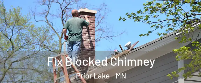 Fix Blocked Chimney Prior Lake - MN