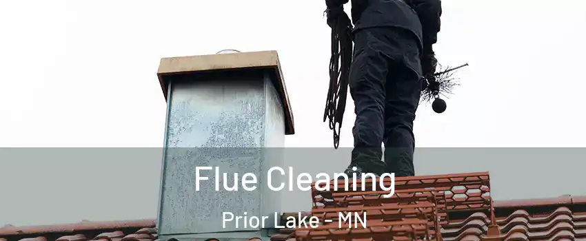  Flue Cleaning Prior Lake - MN