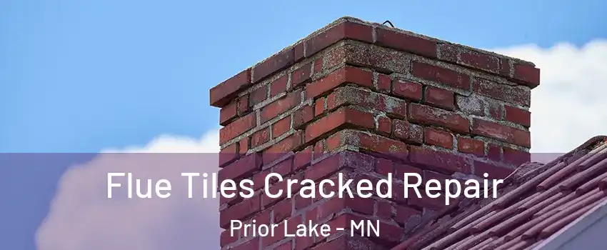  Flue Tiles Cracked Repair Prior Lake - MN