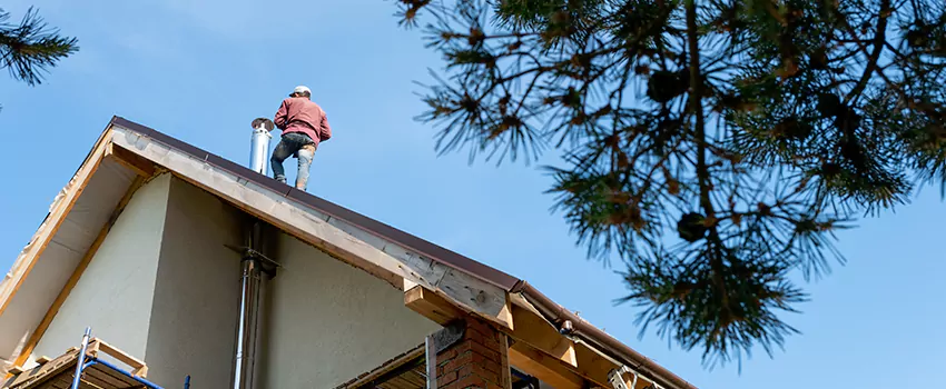 Birds Removal Contractors from Chimney in Prior Lake, MN