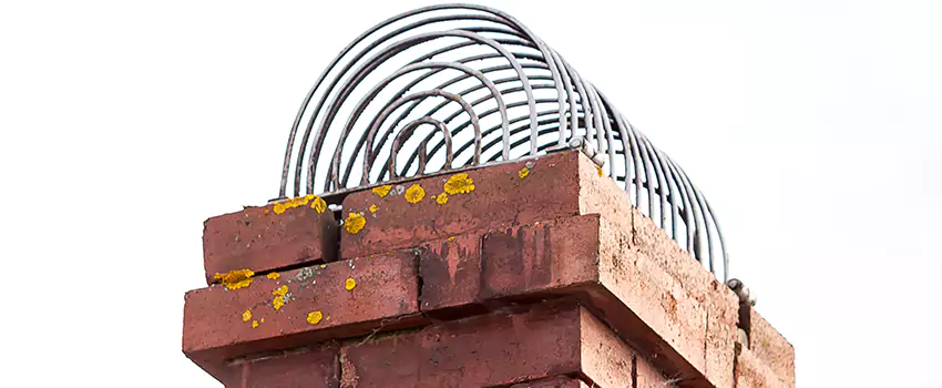 Chimney Crown Problems in Prior Lake, Minnesota