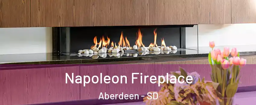  Napoleon Fireplace Aberdeen - SD
