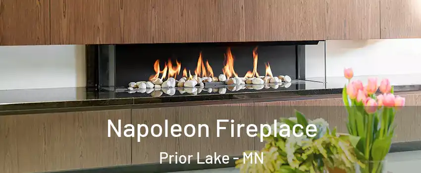  Napoleon Fireplace Prior Lake - MN