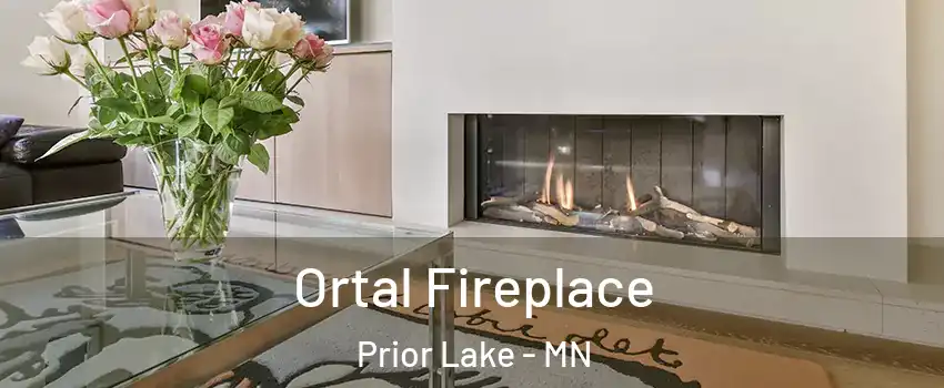 Ortal Fireplace Prior Lake - MN