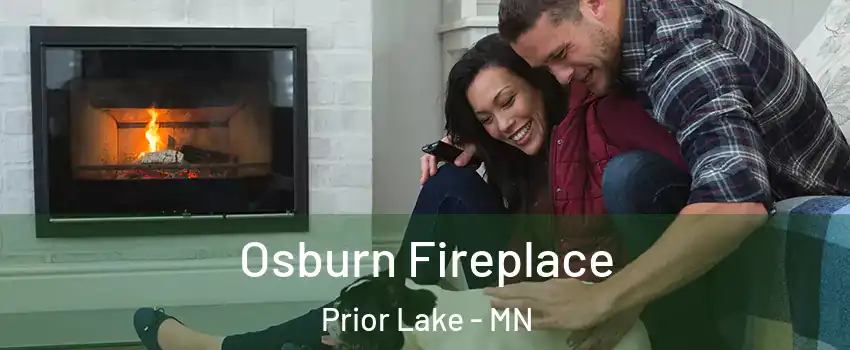  Osburn Fireplace Prior Lake - MN